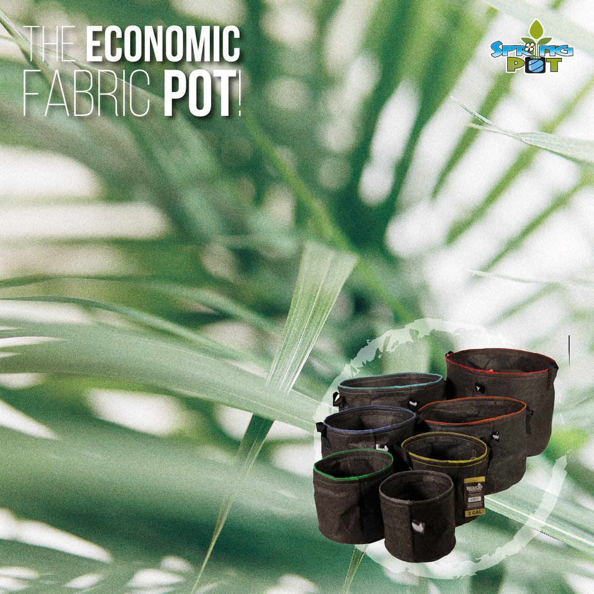 REALspringPOT's tweet photo. #GardeningFacts Our #SpringPots are some of the most economical #FabricPots on the market :-D https://t.co/UfECiB5oMT