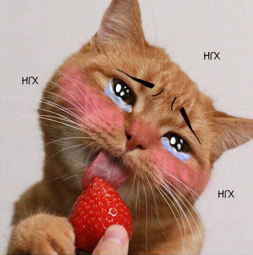 Можно назвать это эротикой ? 
Если да, то я зоофил.