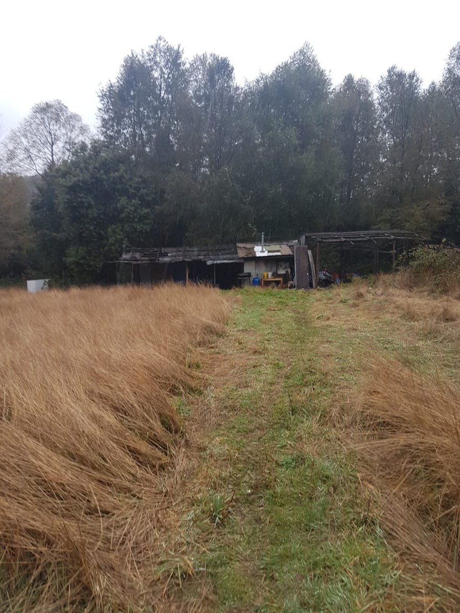 Regia_Pam's tweet photo. Camino a panguipulli, a 1 Km del camino a Licanray vive un anciano inválido, en condiciones que no se considera digno para el ser humano. Sin luz, sin baño, en el barro, su cama toda mojada, el lugar no es suyo 
#ChileLoHacemosTodos 😢🙏
@munivca_py https://t.co/3cMCJtdsaQ
