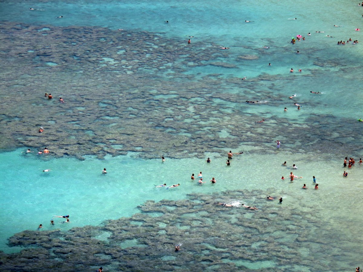 BCorpCommunity's tweet photo. #BCorp @beautycounterhq is introducing the latest in #SPF: #Countersun. “With the launch of Countersun we're taking it a step further to not only protect our #health, but our #coral reefs as well”—@GreggRenfrew, Founder & CEO https://t.co/wj2JYammQx #SB2571 @GovHawaii @TulsiPress https://t.co/8FojF7Fv3Y