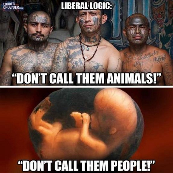 rovingeye7's tweet photo. #Women #woman #womenentrepreneurs #Entrepreneur #Technology #Abortion #Birth #Mother #Mothers #Pregnancy #MS13 #Immigration #Trump #Teacher #Teachers #USC #OSU #FSU #Yale #Oregon #Seattle #Denver #Colorado #Charleston #Miami #Tallahassee #Tennessee #Kentucky #Virginia #Iowa https://t.co/MlGlRG8AjR