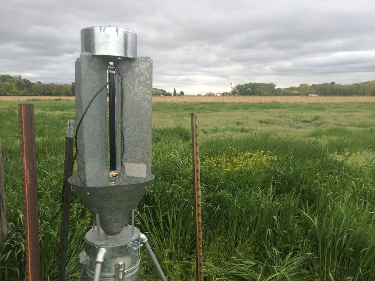 Julie Peterson tweet media