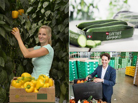 “Combining greenhouse veggies with other regional wares” hortidaily.com/article/43338/… https://t.co/Epe7UJq81U