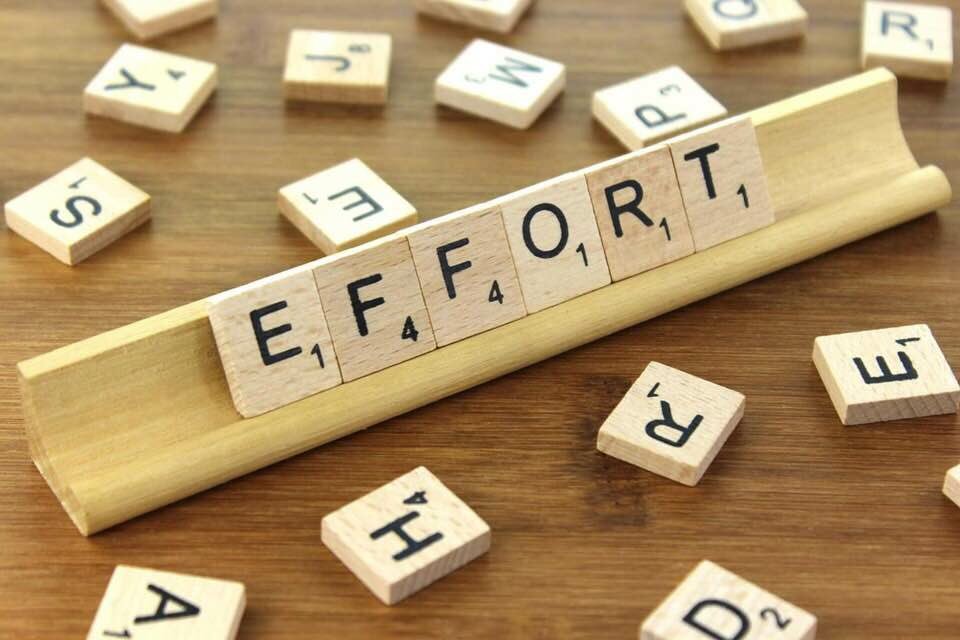 HMichelleJ's tweet photo. Don't put in 25%
Don't put in 85%
Don't put in 100%
Put in 150%! Because your EFFORT is the fuel that determines your success 
- H Michelle Johnson #dogreatexploits #women101 https://t.co/hivLITOEoV