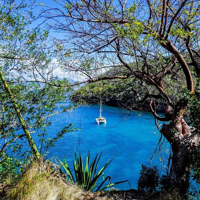 MailleRebelle's tweet photo. Avril 2018 - Martinique - Anse Noire 
Une fenêtre sur le paradis ! L’Anse Noire et sa voisine, l’Anse Dufour sont des coins à tortues ! (Oui comme un coin à champignons, sauf qu’il n’est pas autorisé de ramasser les tortues, au contraire...) Pensez à prendre masque et tuba e… https://t.co/dl1b05wYIl