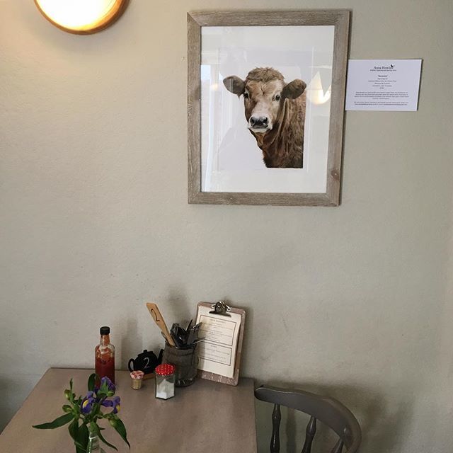 annahowlettart's tweet photo. I have just dropped off a framed print of 'Serenity' to the excellent Oliver's Café in Kimbolton 💕 Do pop by and see her if you're passing, and whilst you're there you can be served some scrummy food and drinks from the café. #animalart #cow #serenit… https://t.co/YWsOJTffUo https://t.co/mMBaQmYHA7