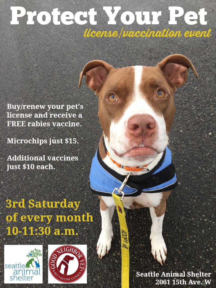 How Do I Get A Dog License In Seattle