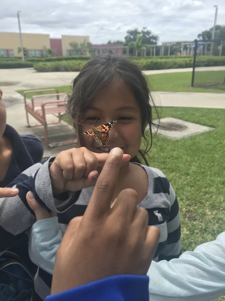 MrsPapandreas's tweet photo. Letting our butterflies fly free! @AllamandaES firsties 🐛🐛🐛🦋🦋🦋 https://t.co/1PxIqS1Acy
