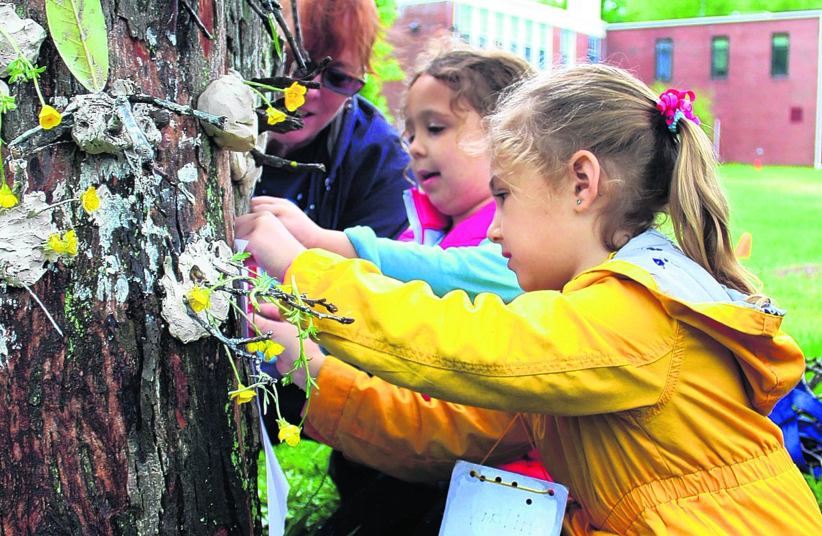 JournalInquirer's tweet photo. Andover Elementary School takes learning outside https://t.co/BYkIXQvEXR #ctnews #OutdoorClassroomDay @OutdoorClassDay #andoverCT #andoverelementary https://t.co/hyKa0uvSJd
