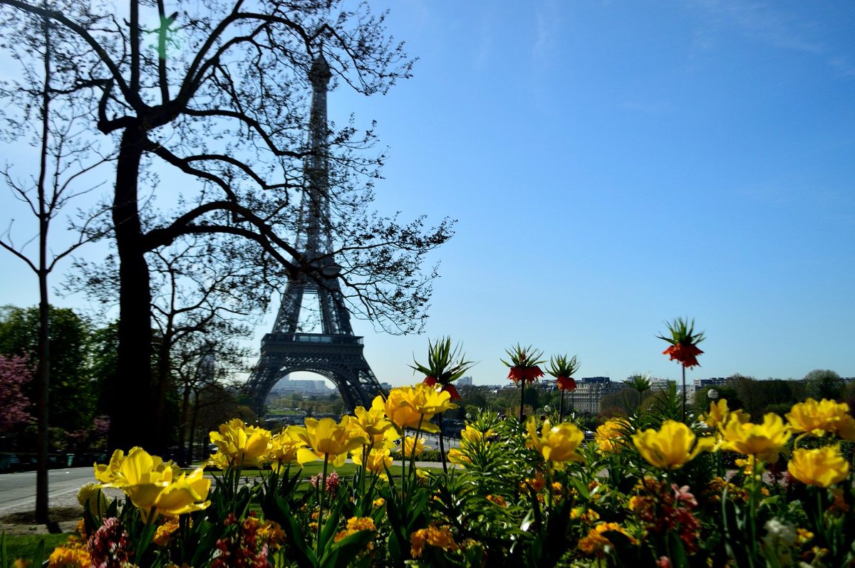 sunandsany's tweet photo. Пролетна екскурзия до Париж https://t.co/TrBal19GWU #Paris #travelblogger https://t.co/gRHs2Z57IT