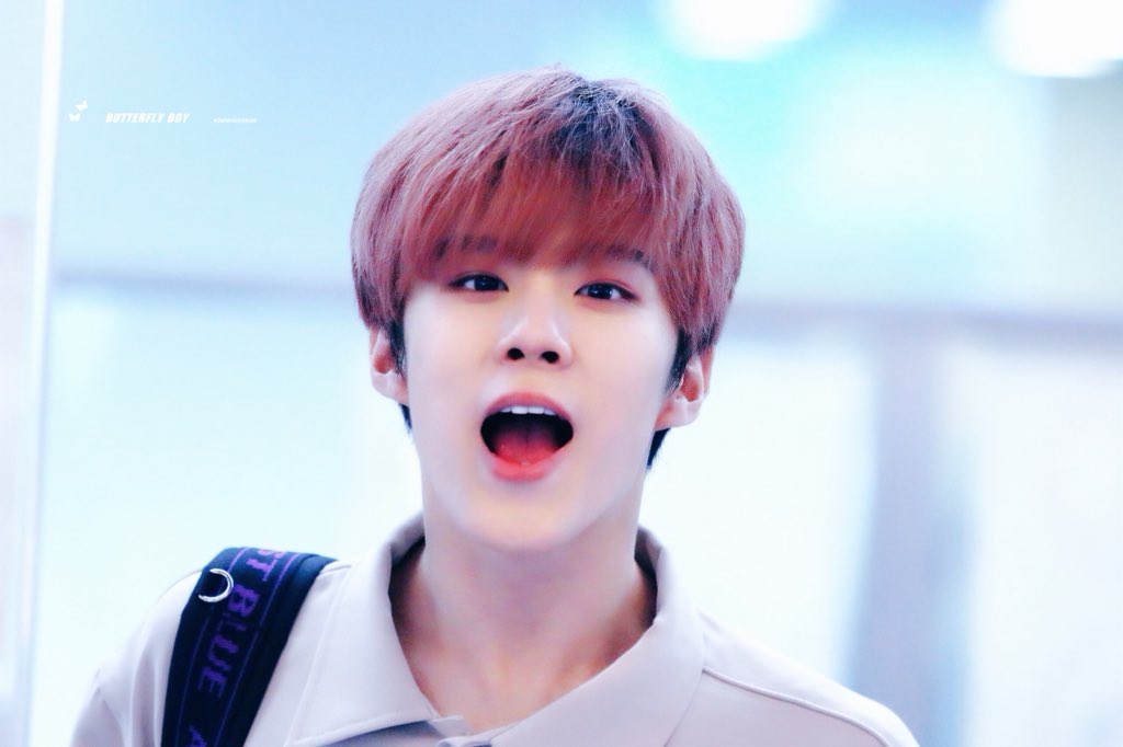 나 역시도 마지막이 너이길 바래 🤥

#업텐션 #우신 #UP10TION #WOOSHIN