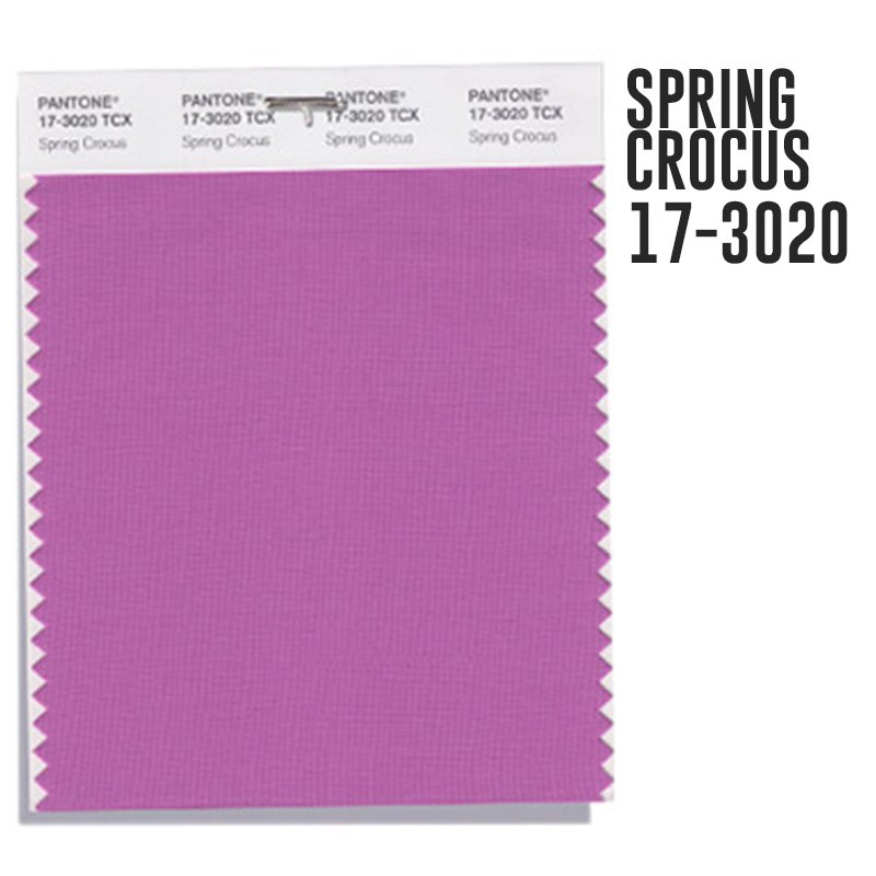 rusbousmx's tweet photo. ¡Hola chicas con #curvas! ¡Feliz viernes #trendy! 
REPORTE DE COLOR 2018 : SPRING CROCUS
Este fucsia brillante, expresivo y seductor, no deja de ser un básico en esta temporada y ahora lo vemos con una nota de color morado. #colorreport #viernestrendy #verano2018 #pantone2018 https://t.co/7E05nLUW8p