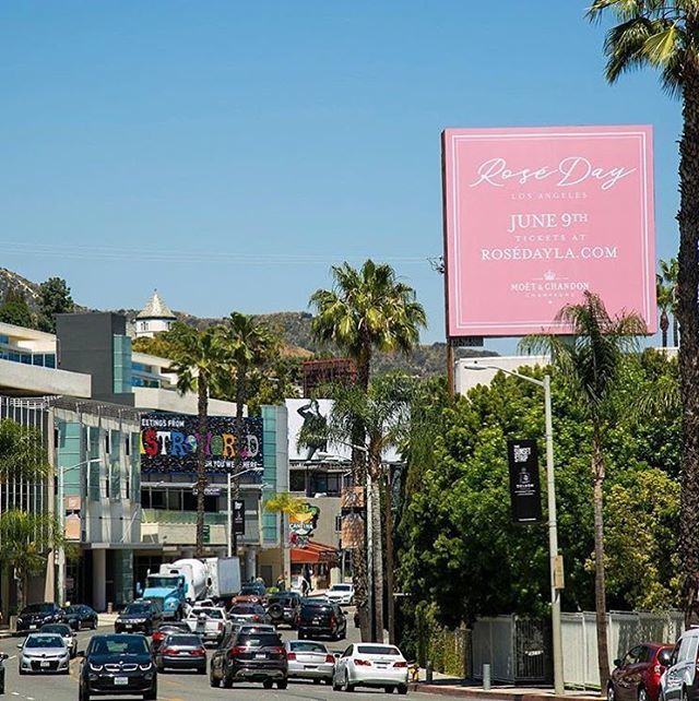 HeadlinesHeroes's tweet photo. California Love!! Don’t miss Rosé Day LA on June 9th on National Rosé Day @roseday_la @moetusa #rosédayla #moetmoment : link in bio for tickets https://t.co/dO3eRGBLez https://t.co/Fc8IKjc3wi