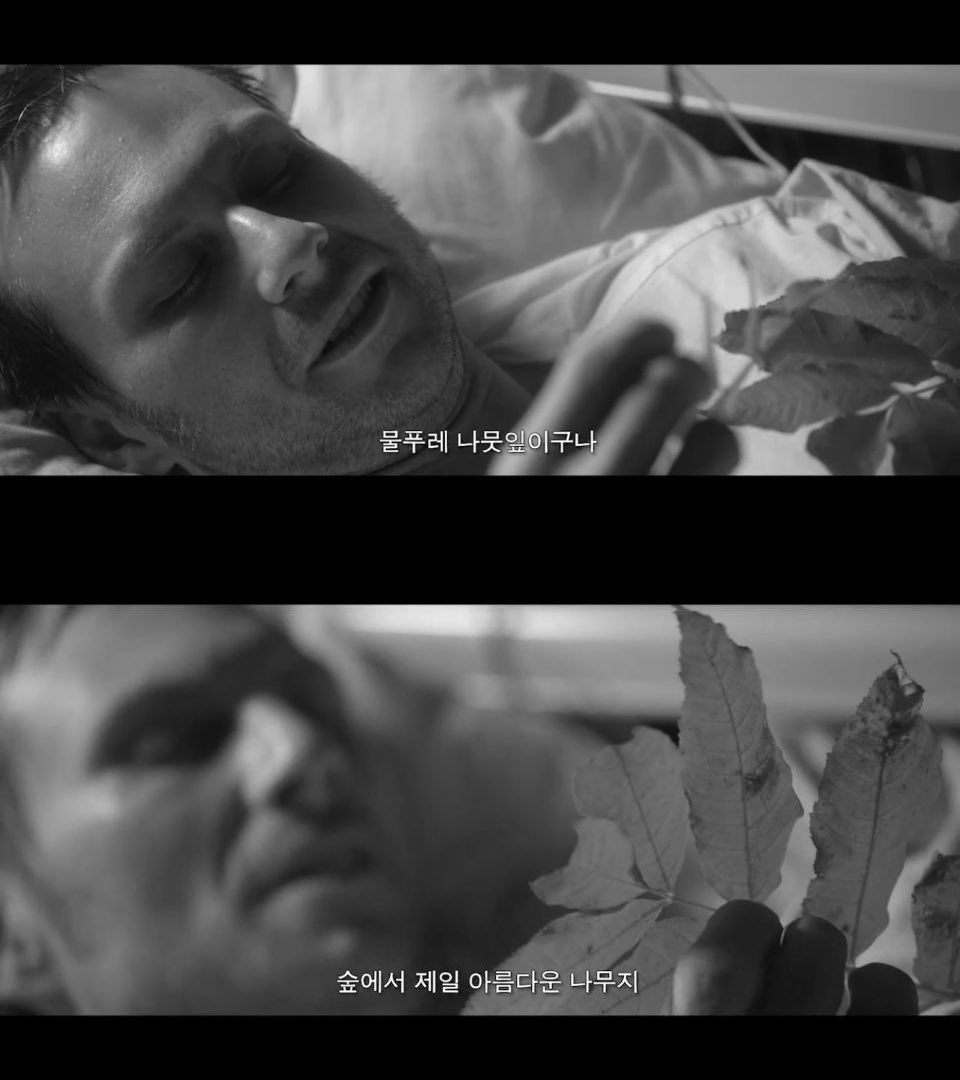 -물푸레 나뭇잎이구나, 숲에서 제일 아름다운 나무지 -하지만 아빠, 겨울엔 어떻게 이 나무를 알아보죠? -수없이 말했잖니 -까먹었어요 아빠와...