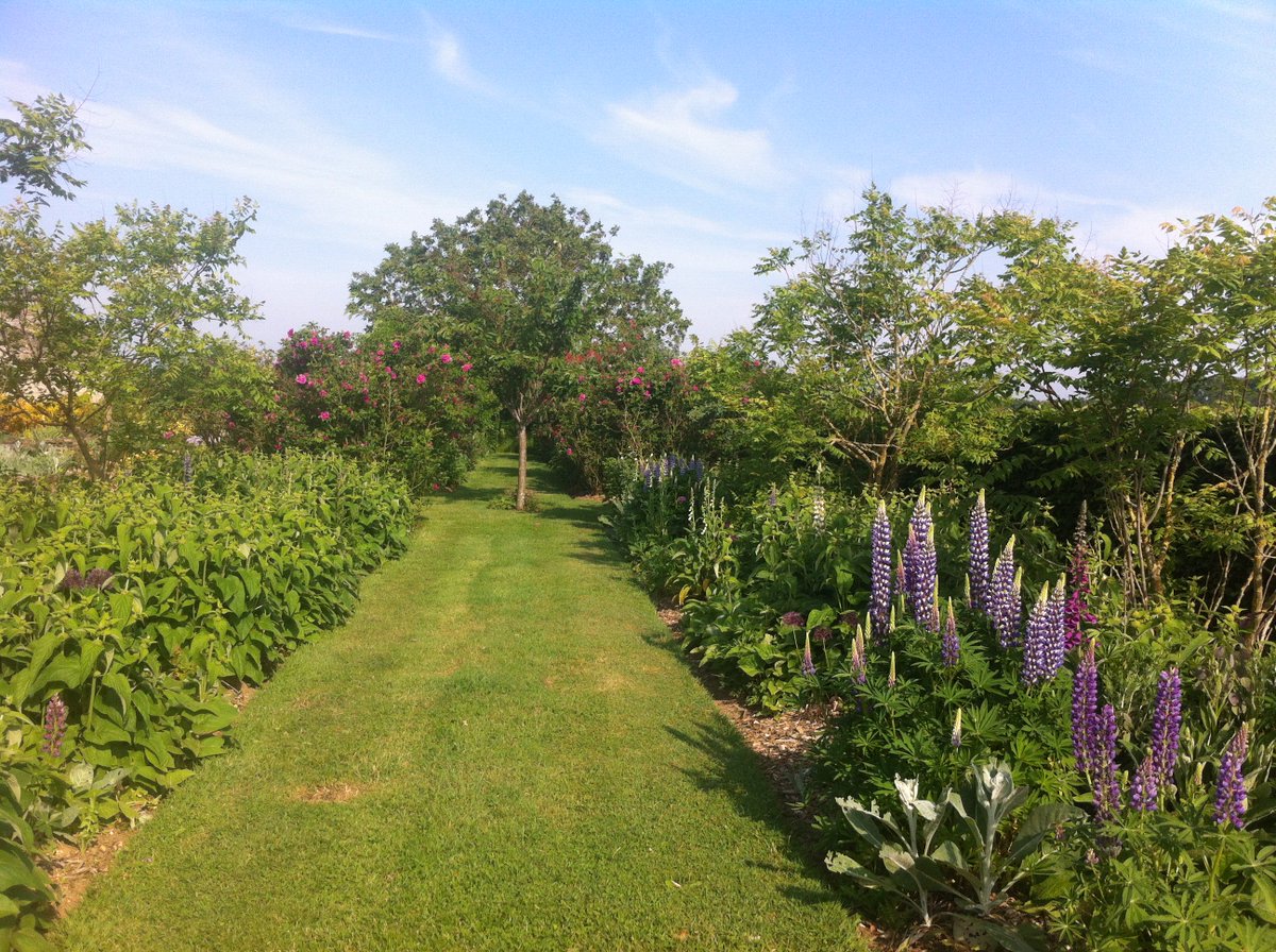 DavidMarshN19's tweet photo. Getting ready for our first garden open day this year but its looking good! [well you can't see all the weeds from where you are!] https://t.co/VdWaVnHN4O