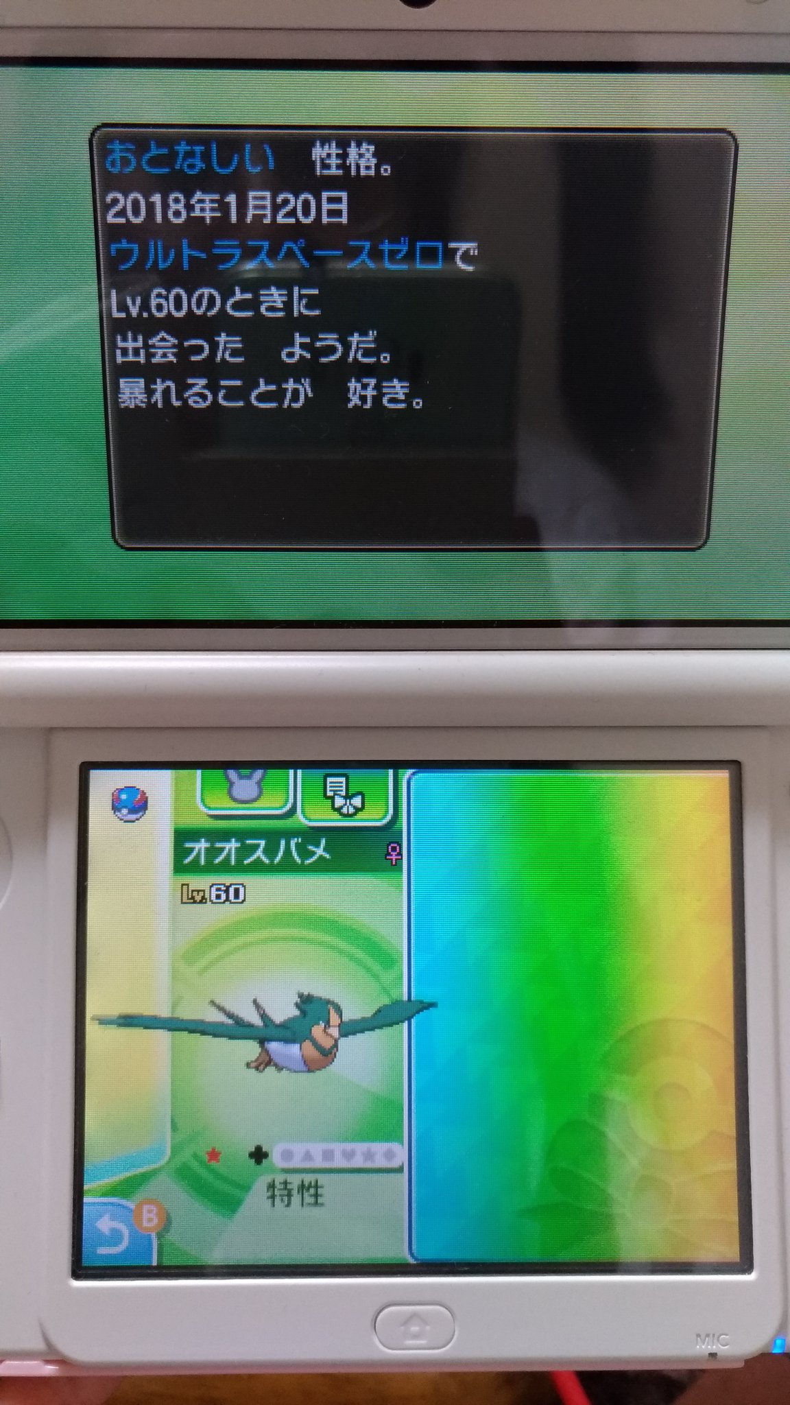 はる いい加減ポケモン再開した ミラクル交換でこれが流れてきたんだけど Lv60だしウルトラスペースゼロだから改造では無いと願いたいところ 誰か助言を ポケモン ミラクル交換 色違いポケモン T Co Eegyfzyw3k Twitter はる いい加減ポケモン再開した ミラクル交換でこれが流れてきたんだけど Lv60だしウルトラスペースゼロだから改造では無いと願いたいところ 誰か助言を ポケモン ミラクル交換 色違いポケモン T Co Eegyfzyw3k Twitter