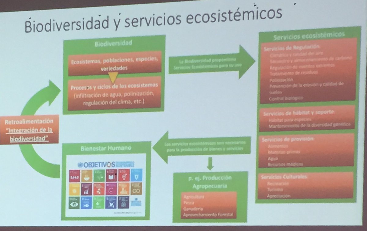 ldeschampss's tweet photo. Ana Rebeca Barragán, IKI IBA GIZ estrategia del sector agricola para la integración de la conservación y uso sustentable de la biodiversidad. #iicamexico #climate_blue #cofupro #sagarpa #incarural https://t.co/fg4EX6ie96