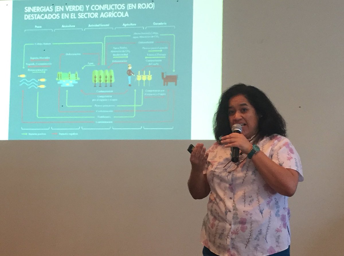 ldeschampss's tweet photo. Ana Rebeca Barragán, IKI IBA GIZ estrategia del sector agricola para la integración de la conservación y uso sustentable de la biodiversidad. #iicamexico #climate_blue #cofupro #sagarpa #incarural https://t.co/fg4EX6ie96