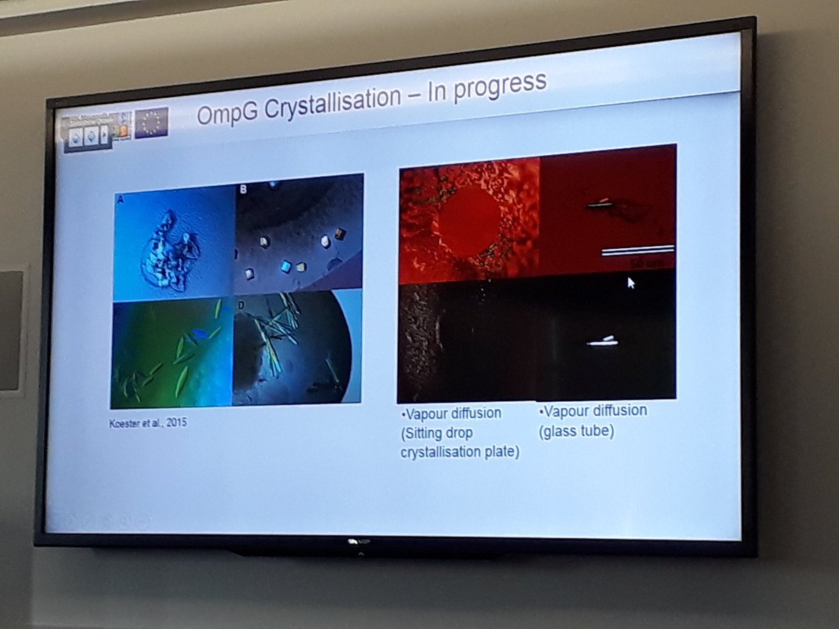 ITN_RAMP's tweet photo. My is up now, from @MaynoothUni (our host of the day), presenting her #RAMPproject #PhD, explaining how she plans to measure the equilibrium phase diagram of #membraneprotein #crystallisation https://t.co/9NB0IJ2uPc