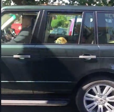 MeghanMaven's tweet photo. Meghan’s rescue pup Guy riding with the Queen to Windsor Castle yesterday. I’M NOT CRYING YOU ARE 😭 https://t.co/xrmeFqPMlz