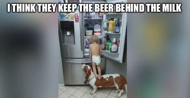 MassBrewBros's tweet photo. Do what ya gotta do to get your beer for the weekend! #TheWeekend #WeGetOurs #babygenius #craftykid https://t.co/5QQjes3nWy