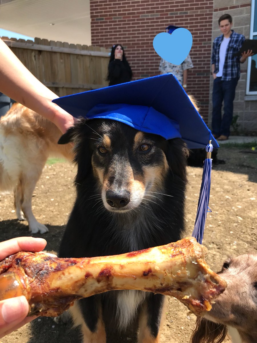 PAWS548_NFHS's tweet photo. We graduated North Forney with a Pet Degree! https://t.co/xU2T1tHhrh