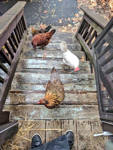 13inakhan's tweet image. #nationjs