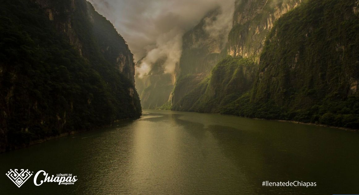 Llénate de Chiapas tweet media