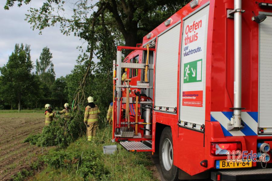 🚨 Brandweer verwijdert loshangende tak aan de Westenengseweg in #Harskamp 112.press/QTK8Cz 112Ede https://t.co/CbtnmwBtE1