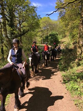 QuantockTrekkin's tweet photo. Happy hens!! Get a group of friends together had come and have some fun, scenery superb and riding is amazing on the @Quantockhills @secretsomerset @SmrsetOutdoorNT @outsidemagazine @WellBeing_Mag https://t.co/erBLXbSQiT