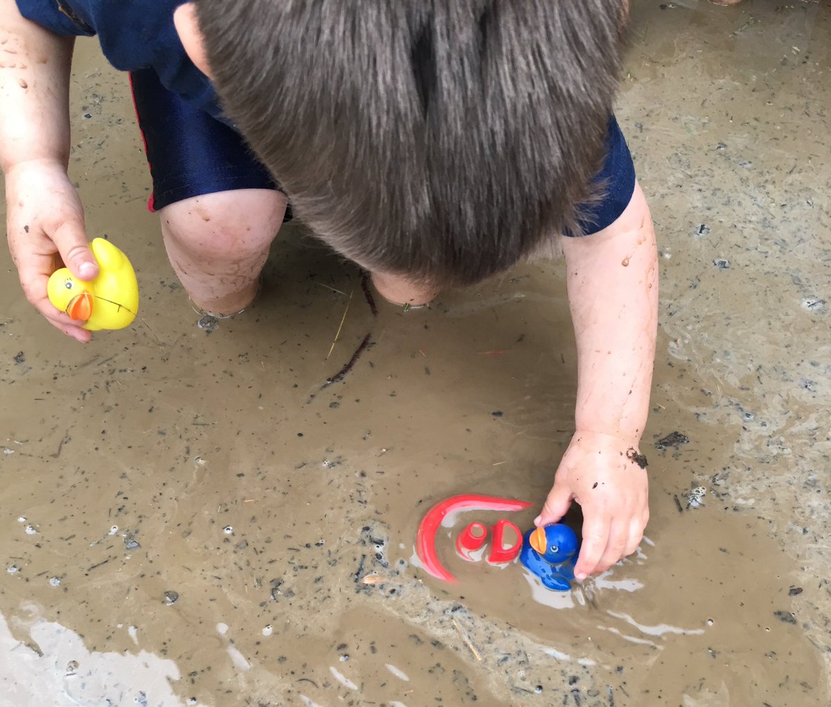 BreitePreK's tweet image. #sinkfloat #muddypuddles #exploringnature #ilssc