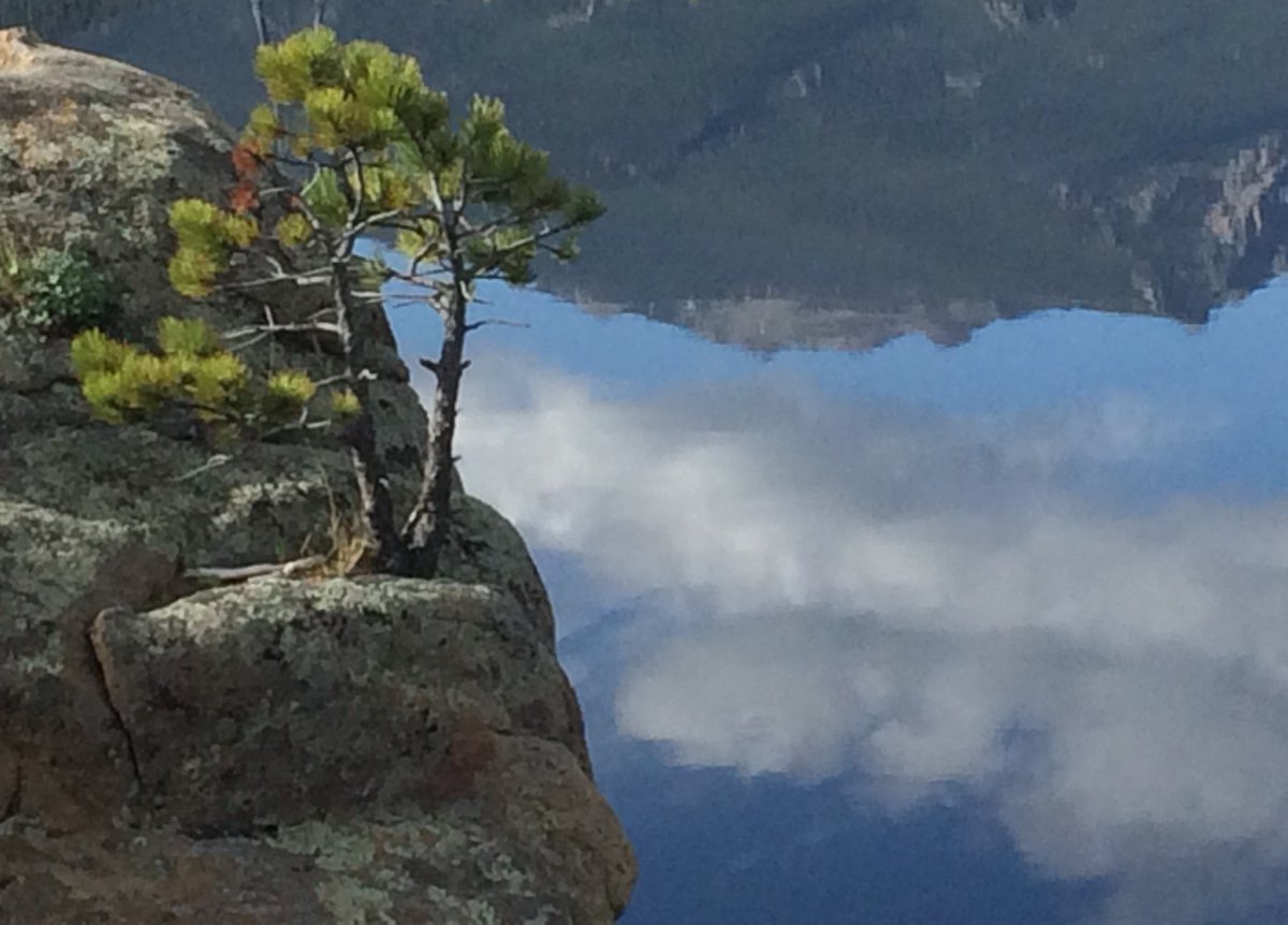 TourEstesPark's tweet photo. Twin Sisters Peaks reflected in perfectly calm Lake Estes while ponderosa pine clings to moss rock. Please like and share https://t.co/QXqIMBcwL4
