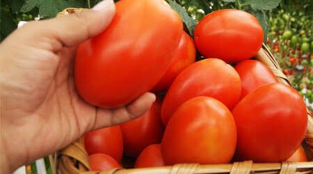 Maty Luque tweet media