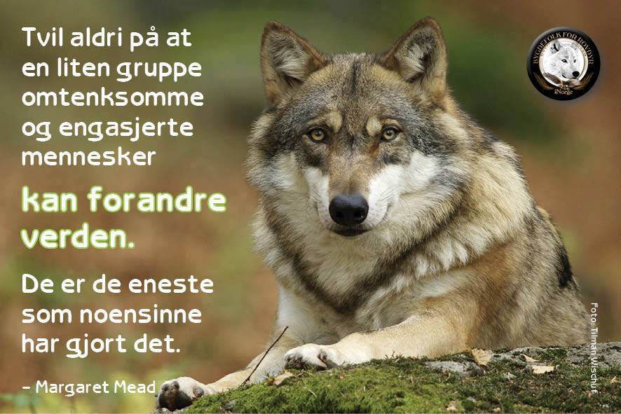 BFRNorway's tweet photo. https://t.co/CEPM5ZILPV