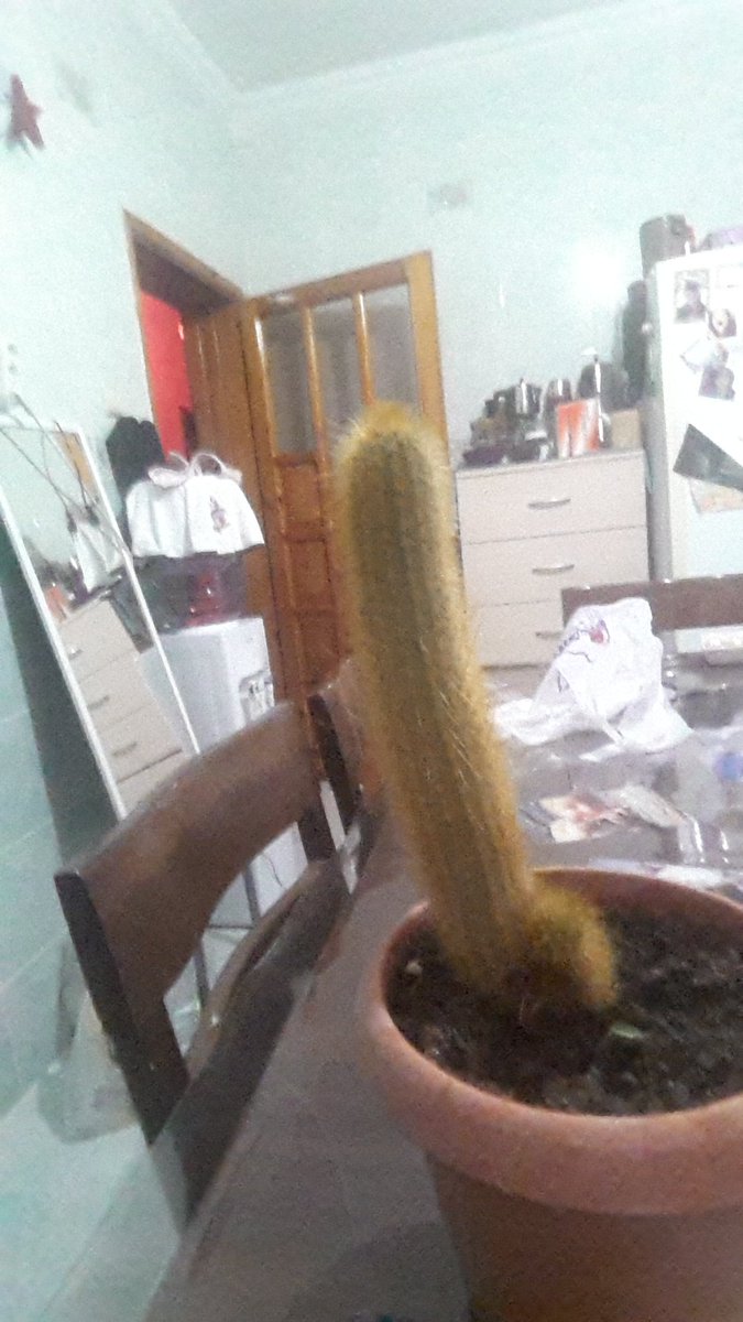 + 18 e doğru gidiyo bu alın şunu bi kenara