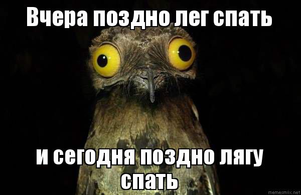 Смешная картинка иди спать