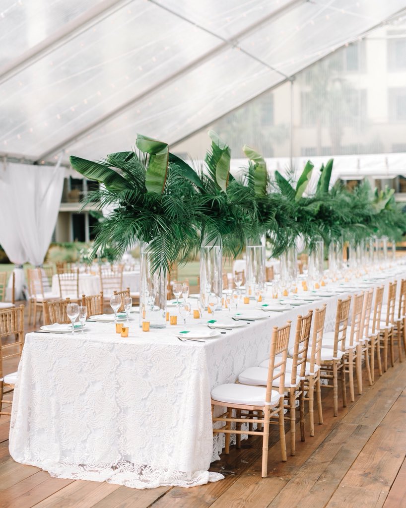 SnyderEvents's tweet image. Tropic like it’s hot. 
(📷: @AaronandJillian)