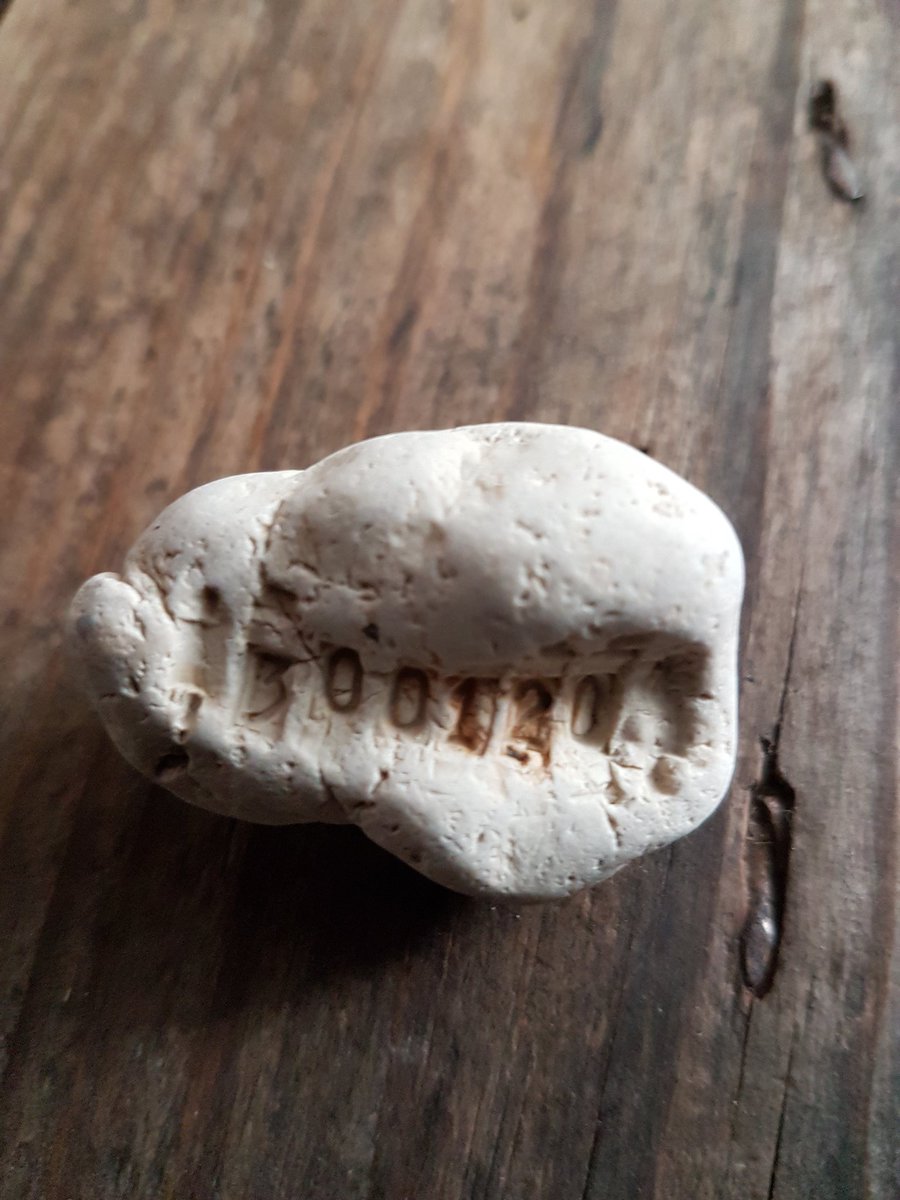 Performance Poet tweet media