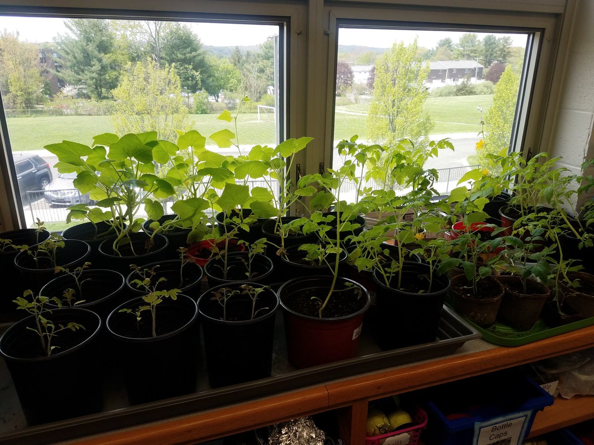 marcydeschaine's tweet photo. Day of Caring is getting even better! Thank You @thehomedepot @williamhthomas3 for making our dream of a garden a reality! #AttheView https://t.co/tS8PNIQBBe