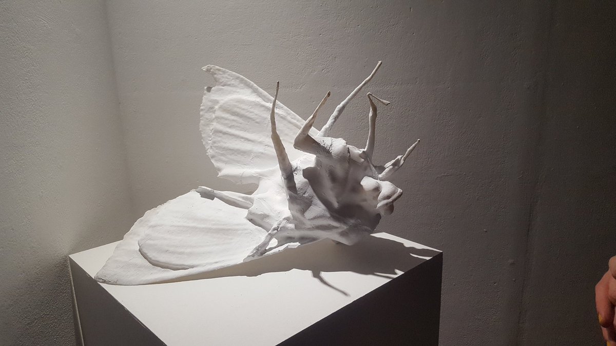 Rafotron's tweet image. Can confirm the #djcaddegreeshow is the best, and my city is the best, and yes, my pals are the best.