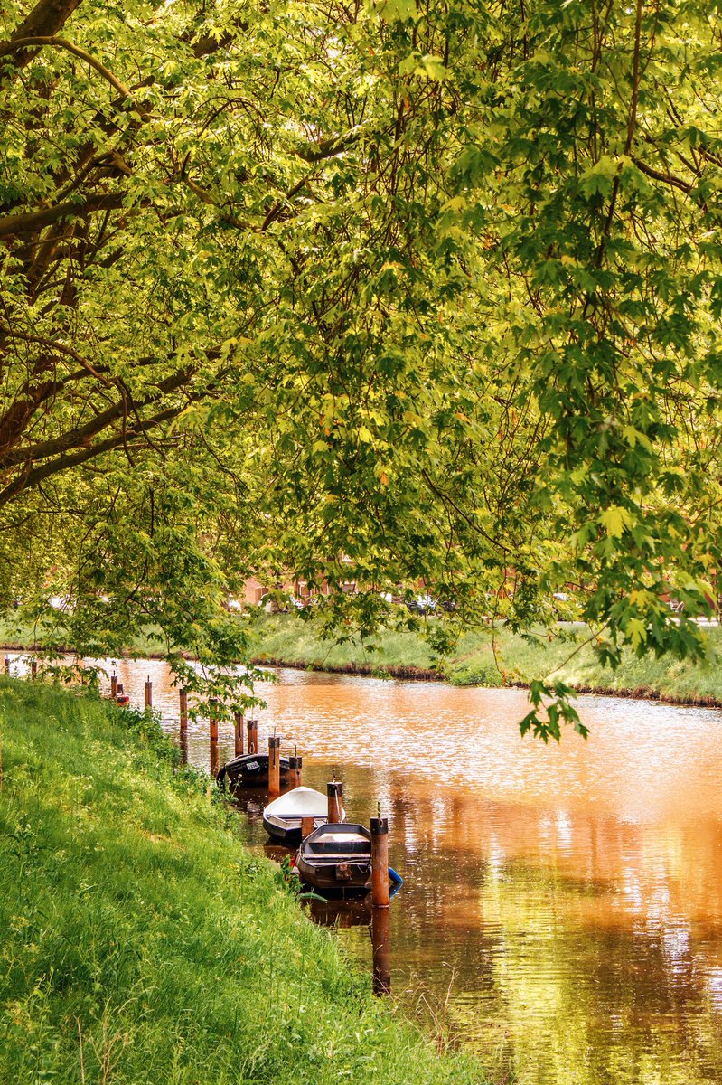 stripeaway's tweet photo. Als je toch moet trainen voor een lange afstand wandeling waarom dan niet lopend naar je werk 😍 #breda #visitbreda #wandelen 

Wat is Breda toch mooi... https://t.co/FlrjhbF8UX
