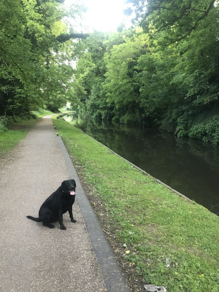 neillwoodward's tweet photo. #10000stepchallange completed fairly early on today so just done another #9000Steps 👍 Walk down the canal followed by a jog back home. https://t.co/CO7g19kx4A