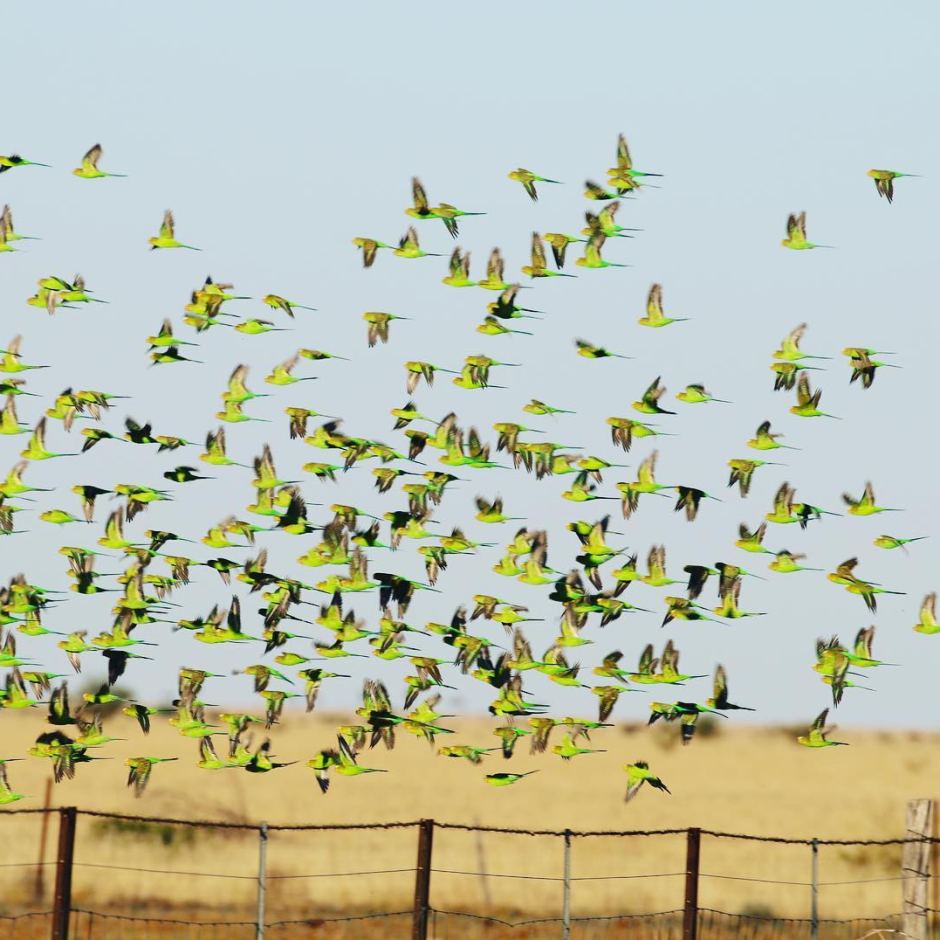 An absolutely beautiful weekend ahead, with maximum temperature of 26 degrees bom.gov.au/qld/forecasts/…