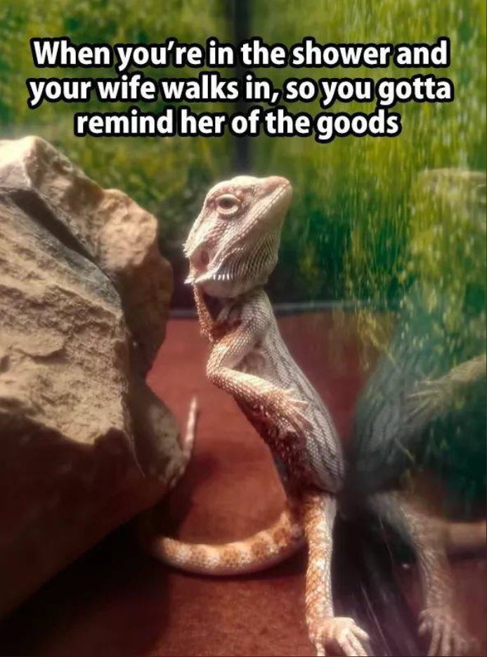 “This is so my husband...”