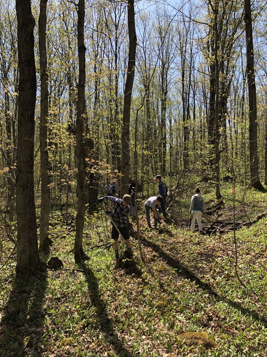 LehmannsClass's tweet photo. Amazing inspiring day of learning outside with a fantastic group of kids. Building trail and getting to know how to work in our local forest. #outdoorlearning @SCDSB_Schools @CCI_SCDSB #technomath #shsm #ConstructionFutures #OutdoorClassroomDay #learning #inspiring https://t.co/y207LSaCsE