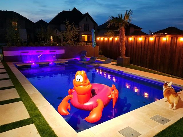 cruisinggoddess's tweet image. Forgot to post earlier that Chris and I put in string lights on the fence along our pool. I think they turned out really well. @waffles_corgi is admiring our handiwork.
.
.
.
#mymainvue #mainvuehomes @haukcustompools #dfwpool #friscopool #friscotx #custompool
#modernpool #co…