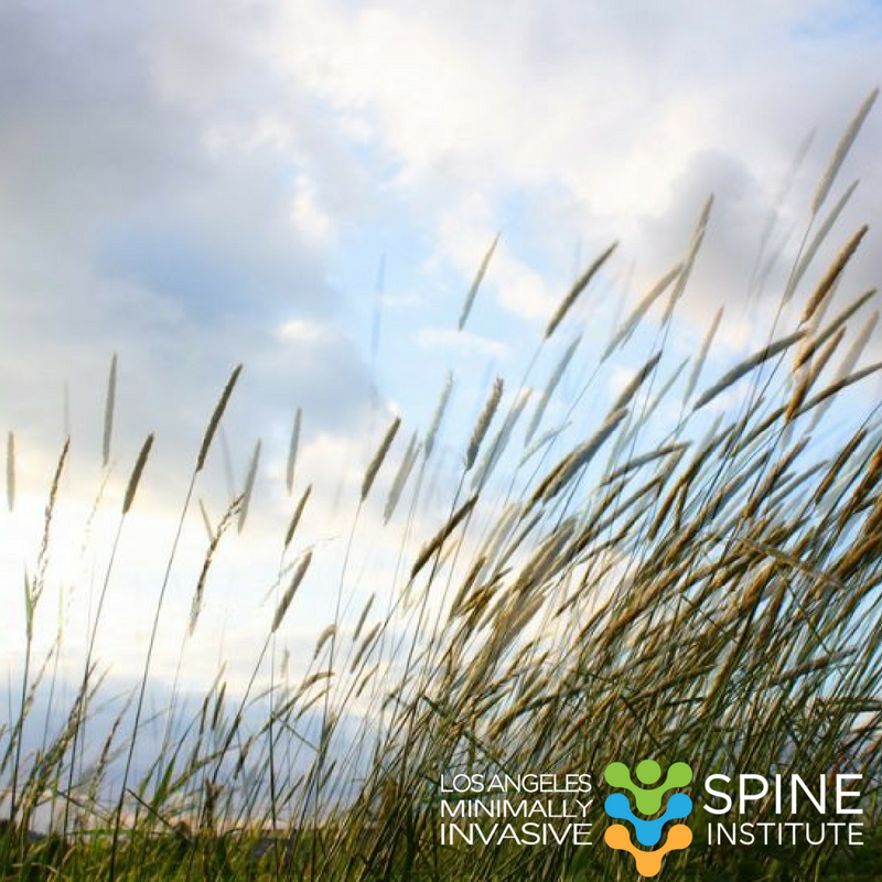 LASpinecare's tweet photo. May is Clean Air Month - a time to think about what you can do to help keep the air clean. A few ideas to reduce pollution are: carpool when possible, reduce your heating needs by making your house more energy efficient, and choose environmentally friendly cleaners.

#cleanair https://t.co/pGDQ2fG4HY