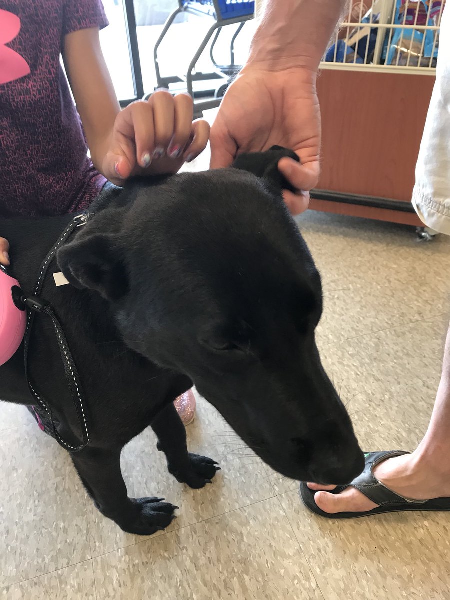 Tinker bell gets adopted today! #NationalAdoptionWeekend