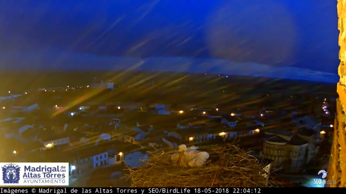 AriesAbril11's tweet photo. #webcamciconia #webcamMadrigal #webacamvencejo #webcamcernicalo Un repaso nocturno por los nidos , los peques están 😴😴😴😴😴 los pequeños vencejos están muy despiertos y el de los Cernícalos pues vacío !! 😒 https://t.co/hFC0GGEJ5c