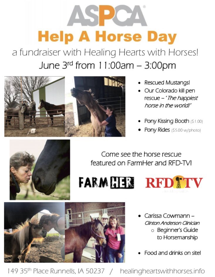 Healing Hearts with Horses (@HealingHHorses) / Twitter Healing Hearts with Horses (@HealingHHorses) / Twitter